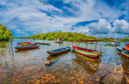 Gastronomias e Hotéis em Paraíba: O Melhor Aqui!