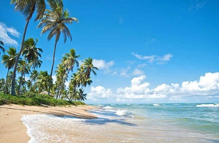 Gastronomias e Hotelarias em Rio Grande do Norte