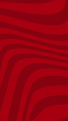 Pizza Burnet's Cidade Nova - Gastronomia e hotelaria