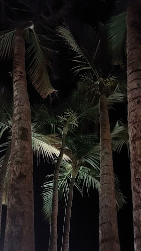 Green Happy Hamburgueria - Foz do Iguaçu