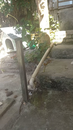 Comentarii opinii despre Mercado do Tom