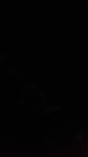 Panificadora & Lanchonete PW Andrade