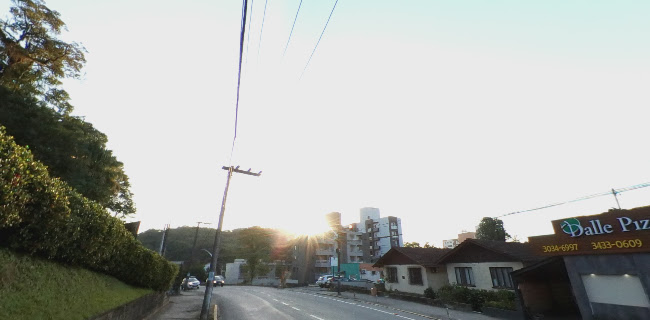 Comentarii opinii despre Dalle Pizza