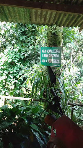 Bar,lanchonete e Mercearia Nicoli Limitada - M