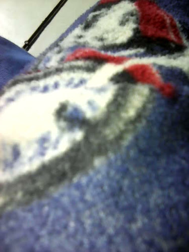 R. Silvio Cantele, 1619 - Capela Velha, Araucária - PR, 83706-740