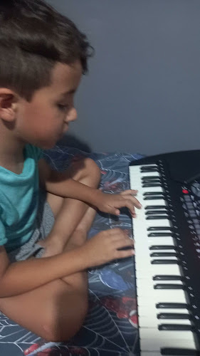 Mercado do Tom - Florianópolis