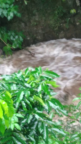 Opinii despre Bar,lanchonete e Mercearia Nicoli Limitada - M în Cachoeiras de Macacu - Gastronomia e hotelaria