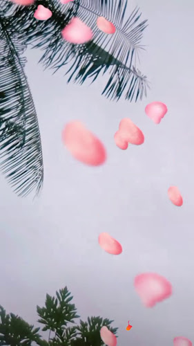 Panificadora Manancial - Juazeiro