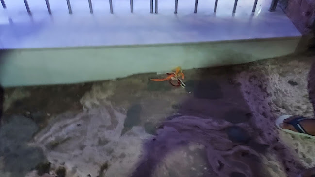 47640-000 - BA-583 - mocambo, Santa Maria da Vitória - BA, 47640-000