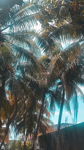 Comentarii opinii despre Na Maré