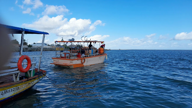 Restaurante Tia Mundoca - Gastronomia e hotelaria