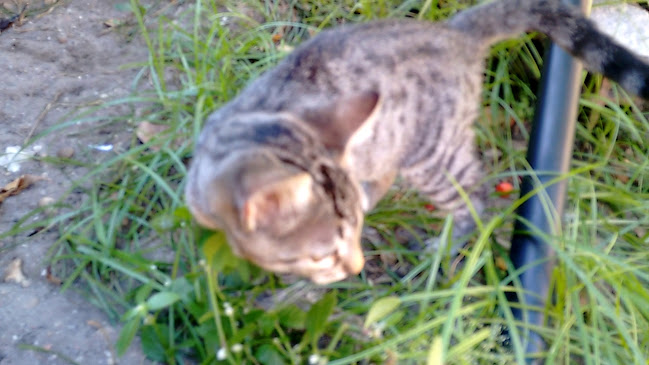 Opinii despre Vidros e Vitrines în Teresina - Gastronomia e hotelaria