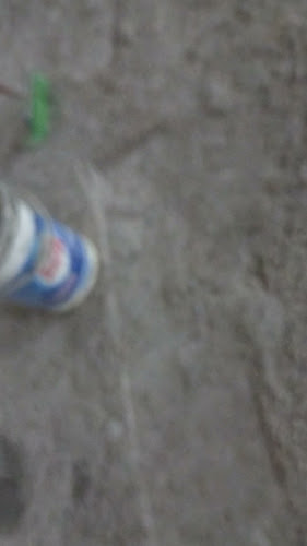 Opinii despre lago Oeste în Formosa - Gastronomia e hotelaria