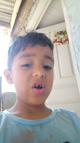 Opinii despre Mercado do Tom în Florianópolis - Gastronomia e hotelaria