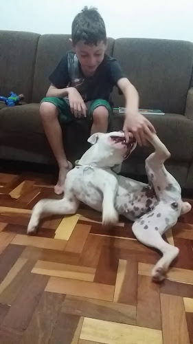 Açougue Tauras Do Churrasco