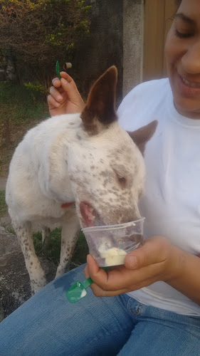 sorveteira e lanchonete saborear