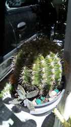 Delta Café Da Manhã e Lanches