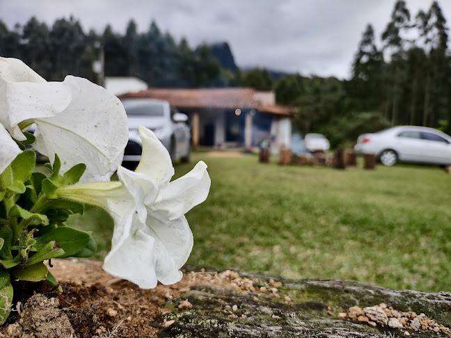 Nack Restaurante - Gastronomia e hotelaria