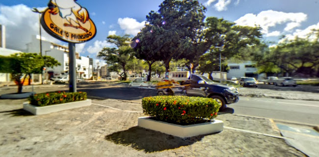 Comentarii opinii despre Galeto Prensado