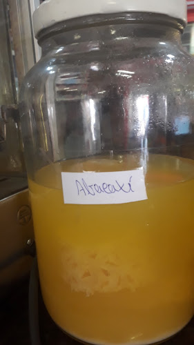 Opinii despre Tutanus Bar în São Sebastião - Gastronomia e hotelaria