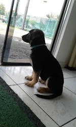 Restaurante Bom Sabor