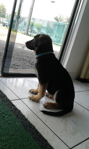 Restaurante Bom Sabor