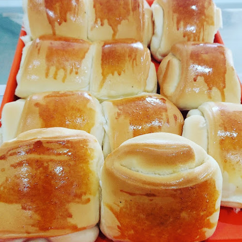 Comentarii opinii despre Panificadora Astro Rei