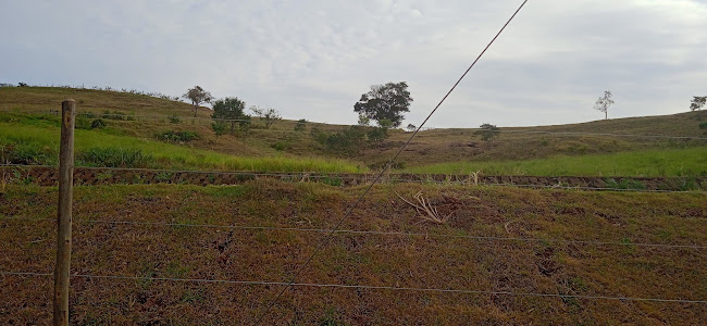 Pesqueiro Bonilha - Gastronomia e hotelaria