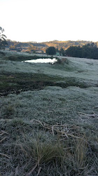 Mercado Almiro Pagel