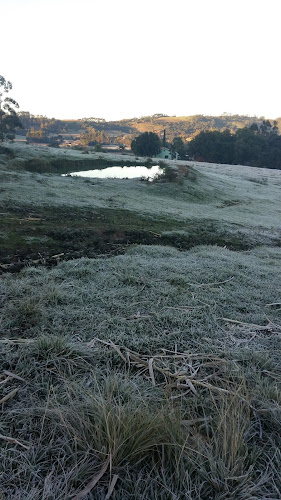 Mercado Almiro Pagel