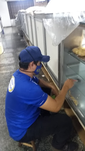 Panificadora Nossa Senhora Dos Remédios - Piripiri