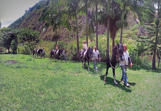 Opinii despre Rancho Jaqueira în Domingos Martins - Gastronomia e hotelaria