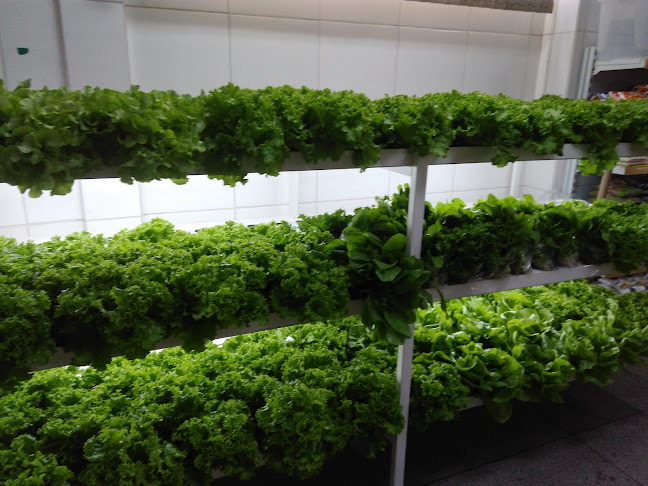 Fruteira Santa Luzia - Gastronomia e hotelaria