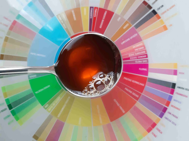 Buenavista Café - Gastronomia e hotelaria