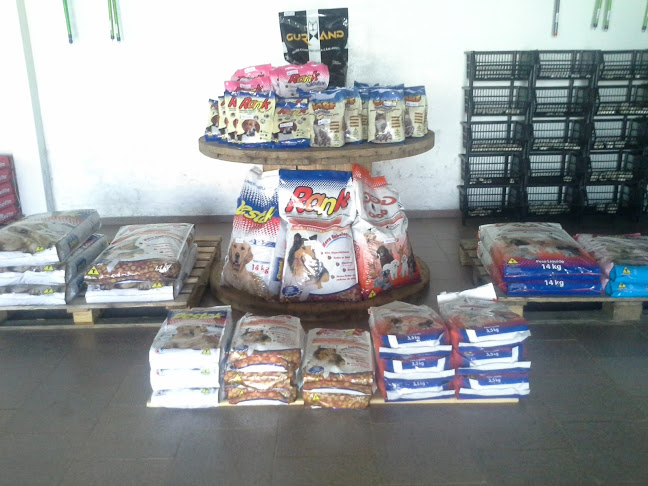 Boldt Cargas e Raçoes