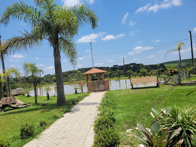 Rei Do Pastel Vinhos e Artesanatos - Irati