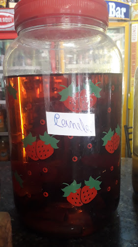 Tutanus Bar - Gastronomia e hotelaria