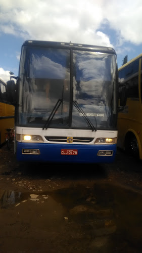 Opinii despre tiago pizza e pastel în São Lourenço da Mata - Gastronomia e hotelaria