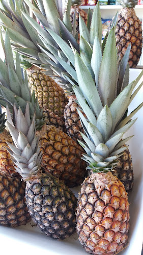 Kitanda Cheiro Verde - Gastronomia e hotelaria