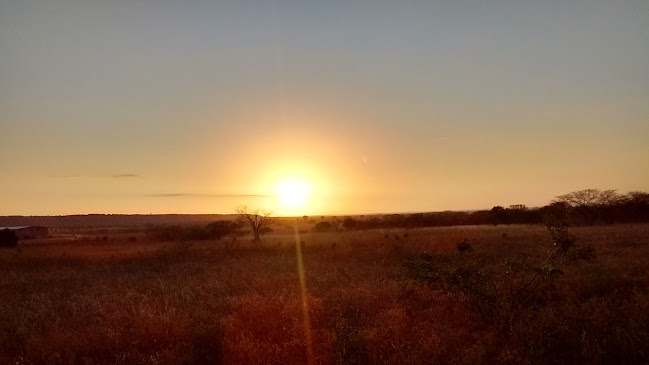 Opinii despre Sítio Siqueira Bar în Apodi - Gastronomia e hotelaria