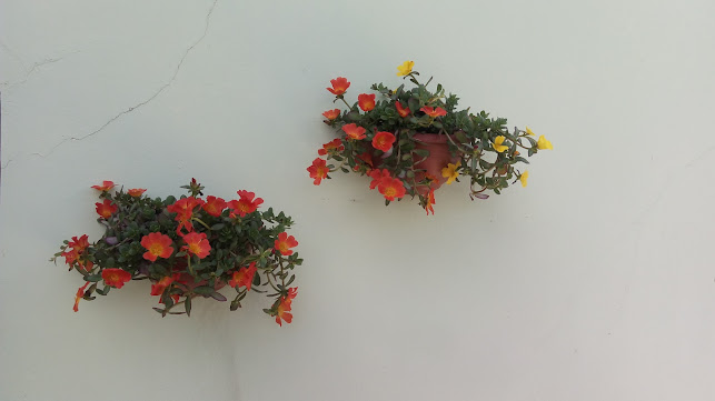 Opinii despre Bar do Maxuxo în Apucarana - Gastronomia e hotelaria