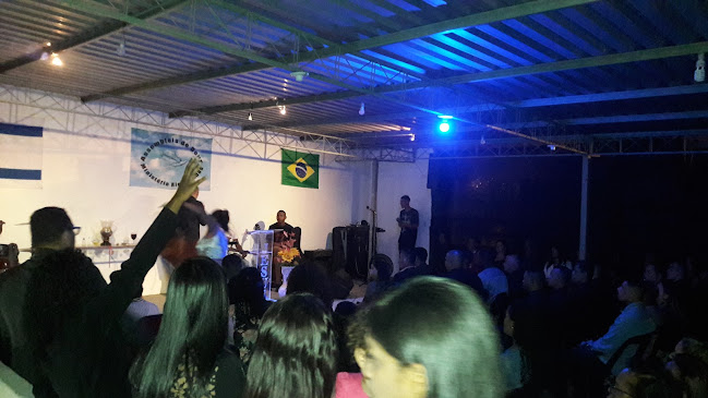 Comentarii opinii despre Ed Burger