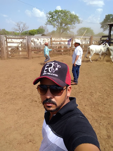 Opinii despre Bar da Amizade în Colinas do Tocantins - Gastronomia e hotelaria