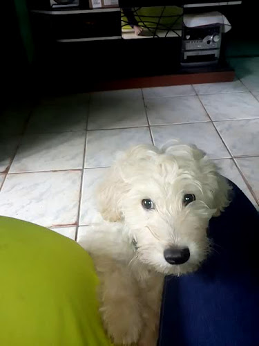 Opinii despre Panificadora JB în São Luís - Gastronomia e hotelaria