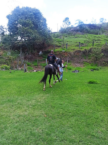 Comentarii opinii despre Rancho Jaqueira