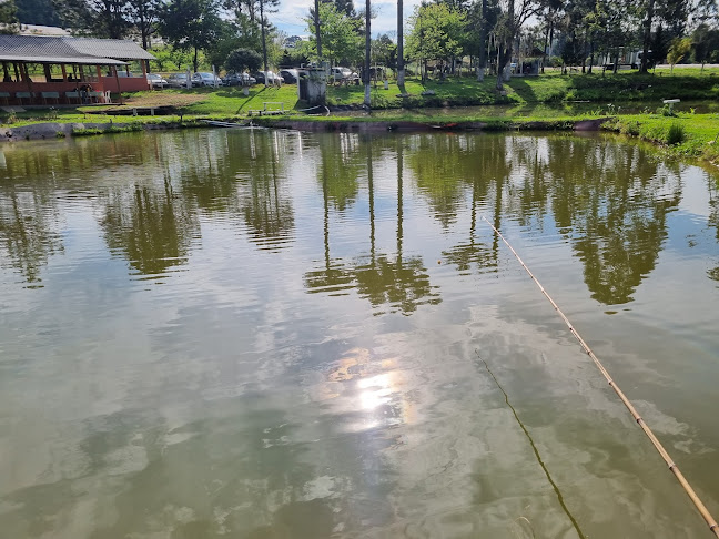 Pesque E Pague E Restaurante Do Sossego - Araucária