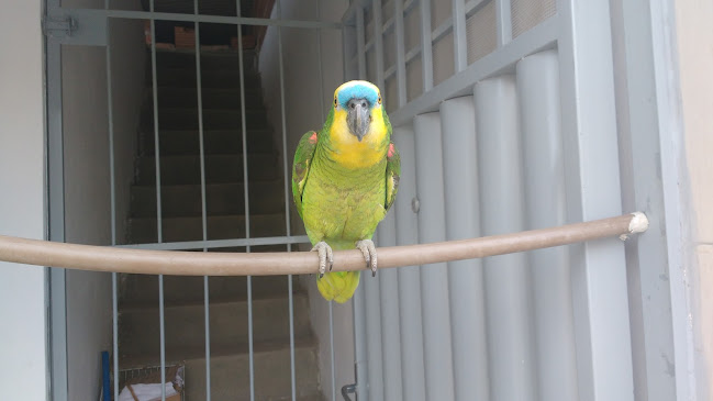 Opinii despre Espaço Gourmet - Lima Macena în Pesqueira - Gastronomia e hotelaria