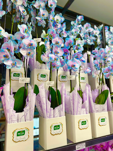 Sítio Verde Hortifruti - Jardim Aquarius - São José dos Campos
