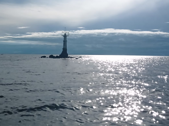 RESTAURANTE PRIMAVERA CARIPI - Gastronomia e hotelaria