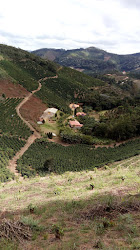 sítio Recanto das àguas